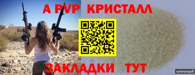 шишки Донской