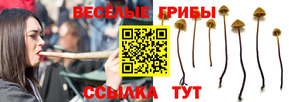 Псилоцибиновые грибы мухоморы  Вход с VPN  Кулебаки 
